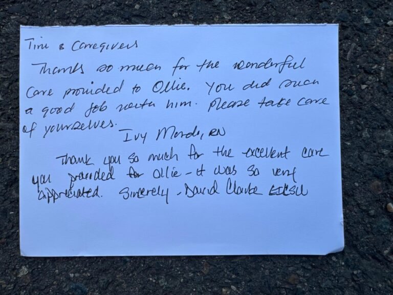 WhatsApp Image 2025-05-20 at 9.00.29 AM (3)